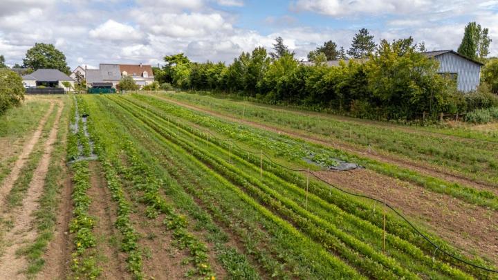 Maraîcher près de Tours