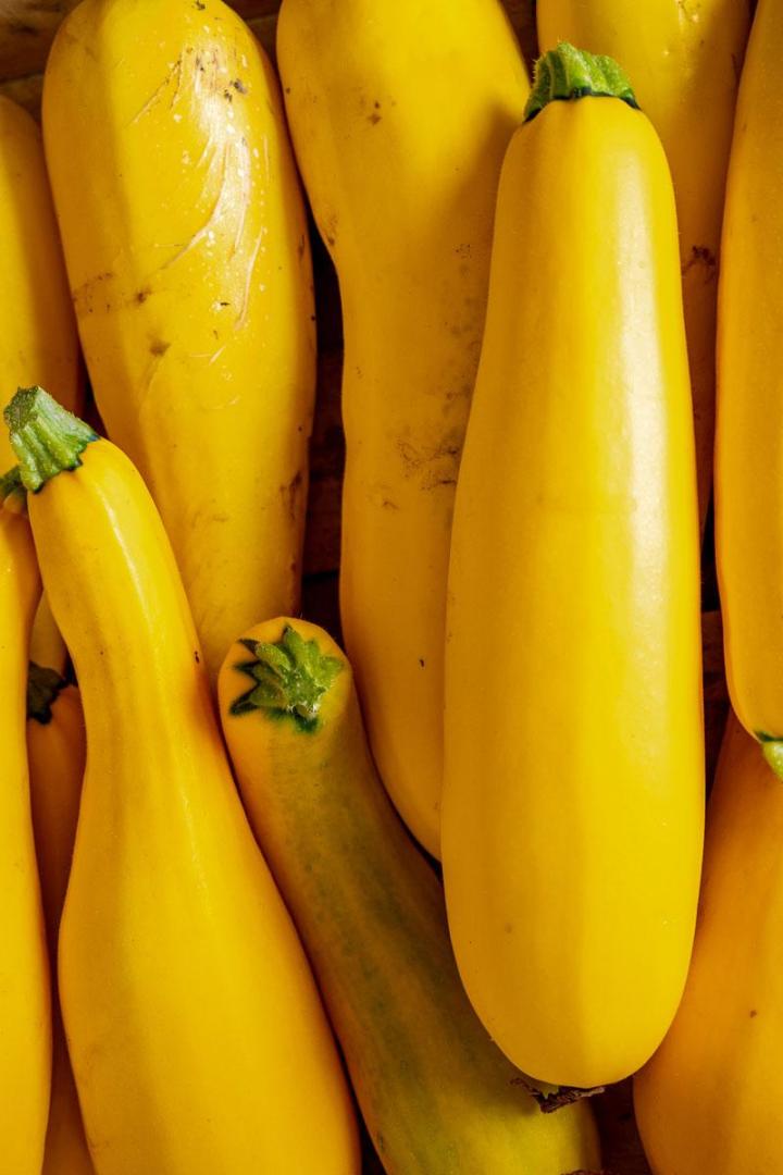 L'exploitation – Tours