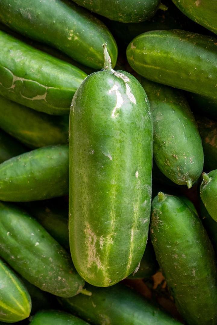 L'exploitation – Tours