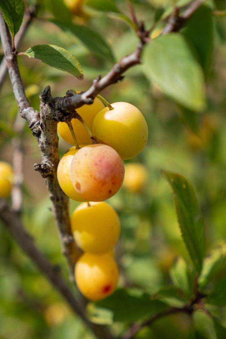 L'exploitation – Tours