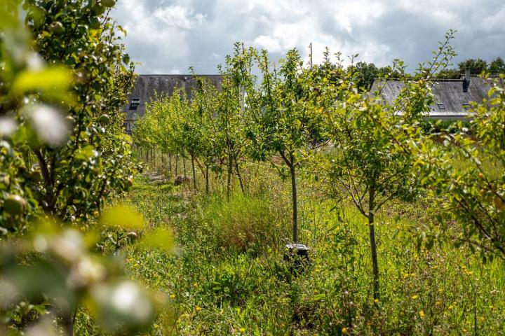 Maraîcher près de Tours
