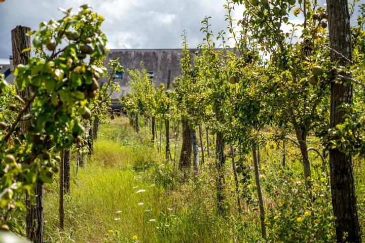 Maraîcher près de Tours