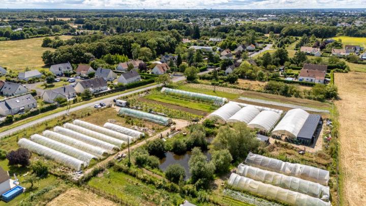 Vente de légumes Tours