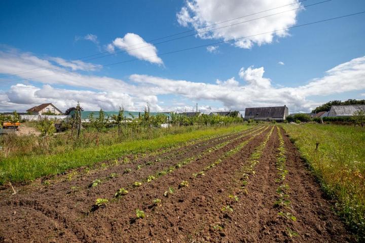Maraîcher près de Tours